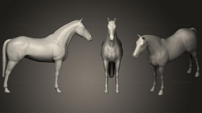 Статуэтки животных (Лошадь, STKJ_1723) 3D модель для ЧПУ станка